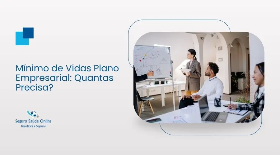 Mínimo de Vidas Plano Empresarial: Quantas Precisa?